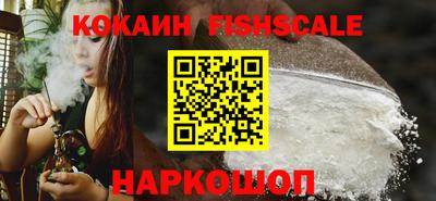 гашик Кулебаки