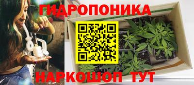 спайс Кунгур